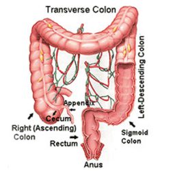 laparoscopic-colon-resections