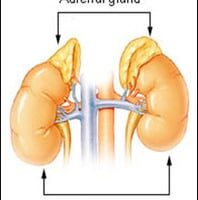 Laparoscopic adrinalectomy